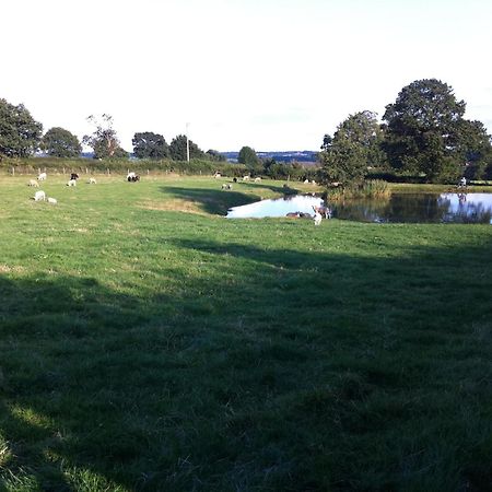 Bed and Breakfast Crich Lane Farm Alfreton Exterior foto